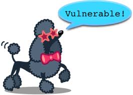 poodle